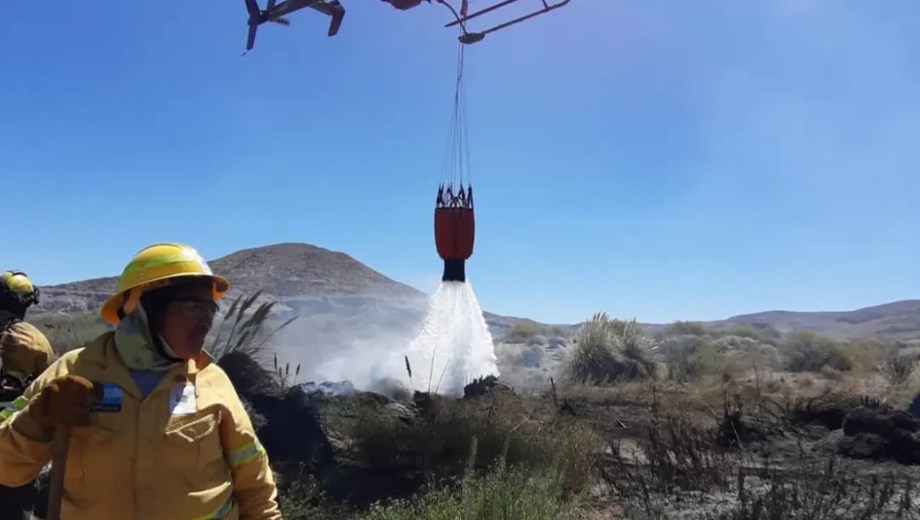 Nélida Purrán en combate con los incendios forestales. (Foto: Gentileza).