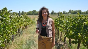 Ana Viola, la mujer que defiende el nombre de Patagonia y trabaja por los vinos del sur