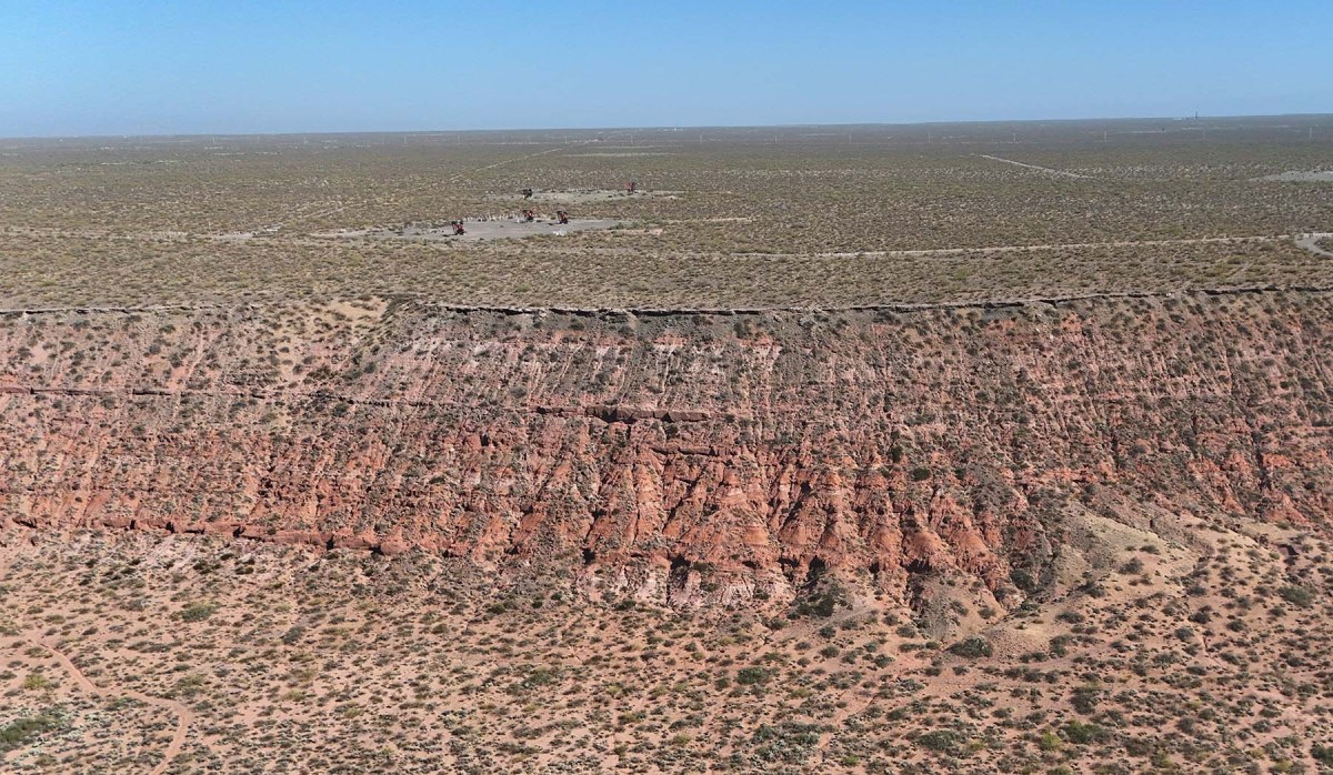 A lo lejos, las cigüeñas extrayendo petróleo de la célebre formación no convencional llamada Vaca Muerta.