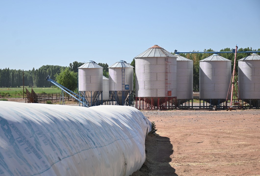 Establecimiento La Linda está considerablemente mecanizado para hacer posible el manejo de 350 hectáreas con maíz y alfalfa y un feedlot cuya carga instantánea promedio es de 1.000 cabezas.