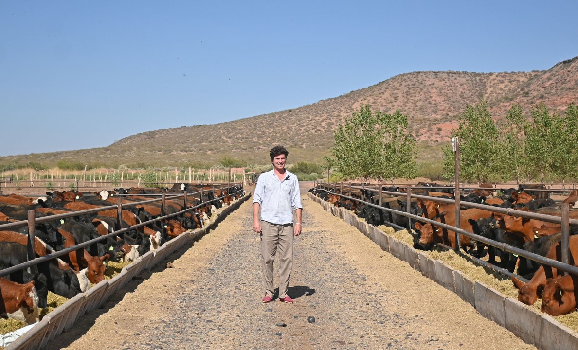 Manuel Vela, uno de los hermanos que conforman la tercera generación de la empresa, posa entre los corrales. El feedlot produce más de 2.000 cabezas de bovinos al año, y allí se realiza tanto la recría como la terminación. 