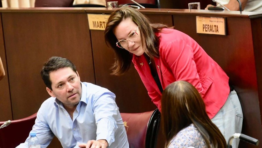 La diputada Brenda Buchiniz integra el interbloque Neuquén República. Foto: Matías Subat.