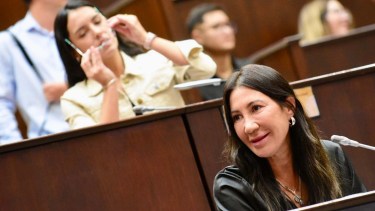 Cámaras en las escuelas: el debate activó un planteo por las faltas en la Legislatura de Neuquén