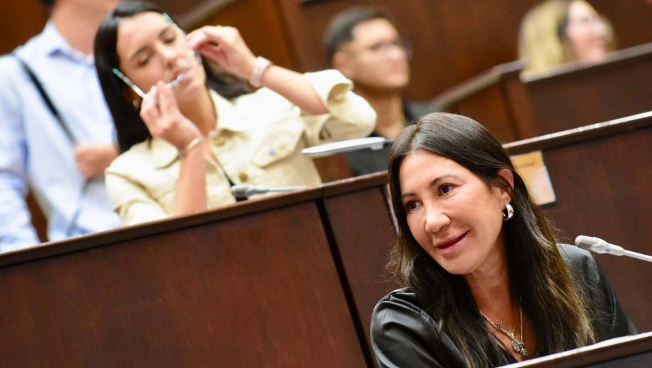 Mercedes Tulián es la presidenta de la comisión de Educación. Foto: archivo Matías Subat. 