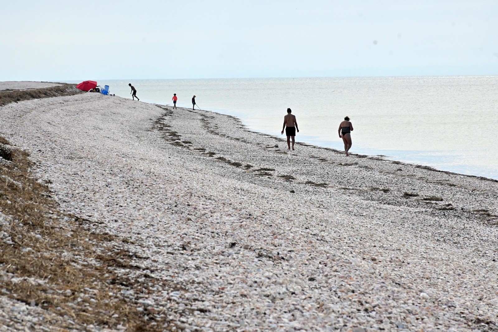 San Antonio Este se viste de carnaval: dos días de fiesta, música y solidaridad en el puerto rionegrino