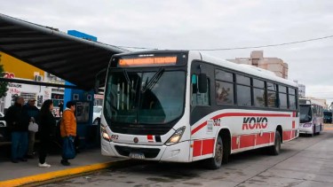 Nación dictó la conciliación obligatoria y se levantó el paro de colectivos 