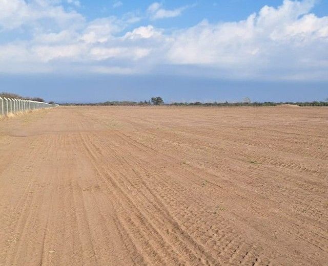 El futuro parque solar contaría con la capacidad de abastecer a más de 80 mil hogares. Foto: gentileza.