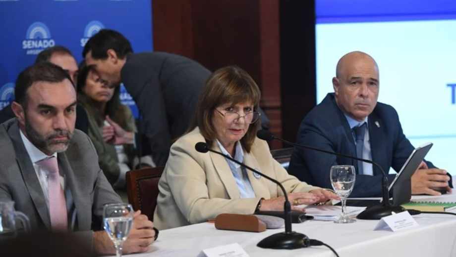 Senado: Patricia Bullrich.-