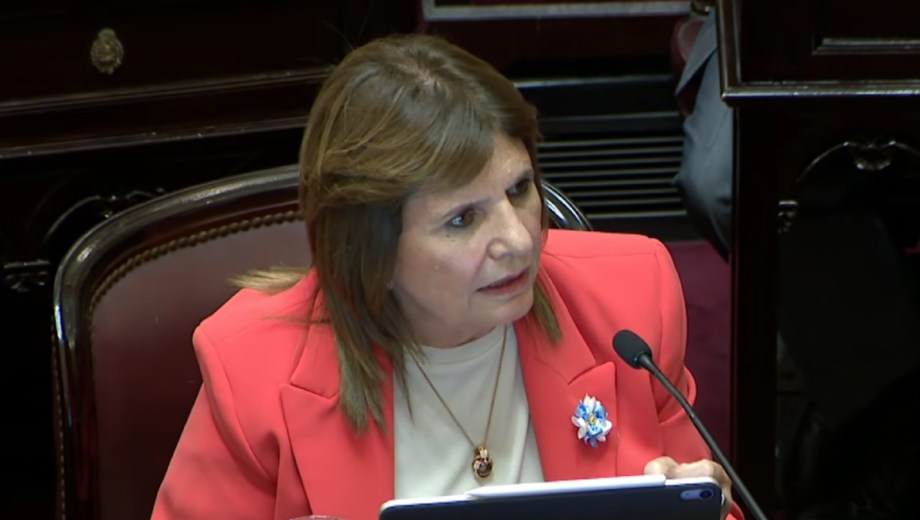 Patricia Bullrich, senadora de La Libertad Avanza. 