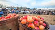 Imagen de Con la bendición de los frutos, Roca ya vive la Fiesta Nacional de la Manzana 2026