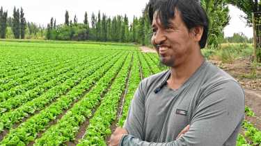 La “gran huerta” que imaginó en Bolivia se hizo realidad en Roca, con 85 hectáreas para proveer verduras desde la cordillera al mar