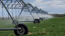 Imagen de Comenzó con esta tecnología en 1994 y ya instaló pivotes de riego para cubrir más de 17.000 hectáreas productivas en la Patagonia