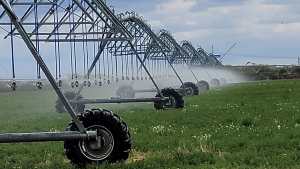 Comenzó con esta tecnología en 1994 y ya instaló pivotes de riego para cubrir más de 17.000 hectáreas productivas en la Patagonia
