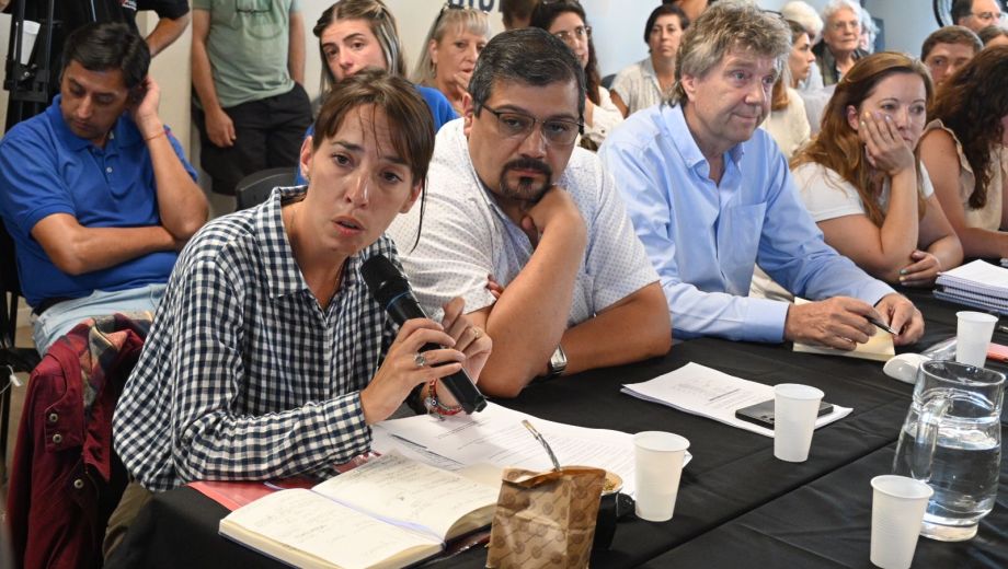 La secretaria de Planeamiento de Bariloche, Sofía Maggi, coordinó la reunión del Consejo de Planeamiento por el desarrollo del cerro catedral. Foto: Chino Leiva