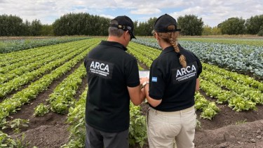 Operativo federal en San Javier: detectaron trabajo infantil y hubo denuncias en la Fiscalía de Viedma