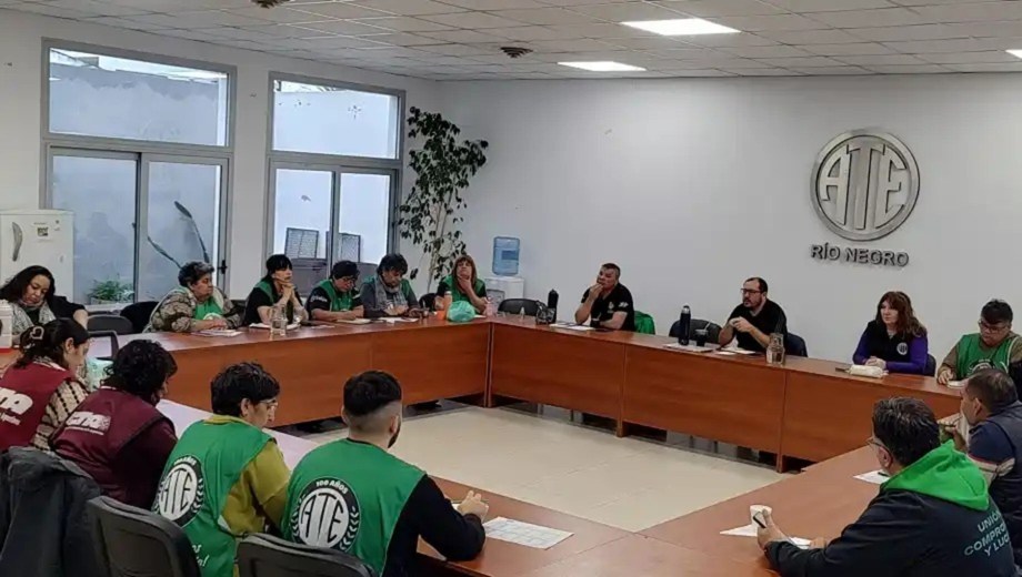 La decisión del plenario fue por mayoría. Foto: gentileza.