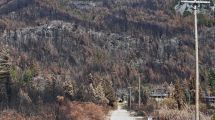 Imagen de A un mes del incendio que comenzó en Puerto Patriada: vivir entre las cenizas