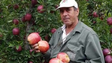 El productor de Lamarque que decidió enviar 550.000 kilos de fruta de calidad a la industria a 100$/kg y dar por terminada la temporada