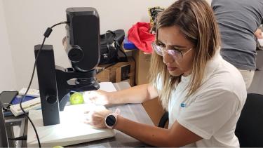 Exportar fruta a EE.UU. será más ágil: ¿qué cambia para los empresarios de Río Negro y Neuquén?