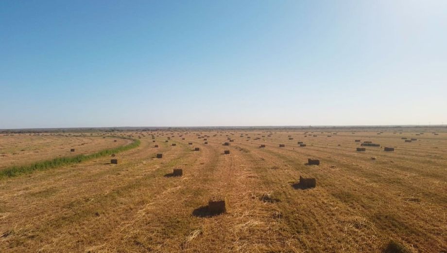 La municipalidad proyecta avanzar con más convenios durante el año. Foto: municipio de Catriel.