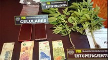 Imagen de Allanamiento en Chimpay: secuestraron más de 300 dosis de cocaína y plantas de marihuana