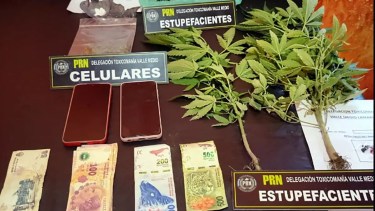 Allanamiento en Chimpay: secuestraron más de 300 dosis de cocaína y plantas de marihuana