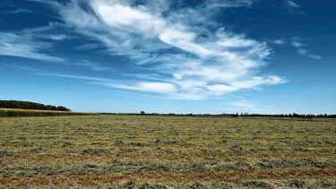 Ley de tierras rurales: el Gobierno busca liberar la compra de campos por extranjeros y envía un paquete de reformas al Congreso
