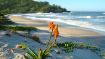 Imagen de El pueblo del sur de Brasil lejos del ruido ideal para relajarse en la playa: descubrí Garopaba
