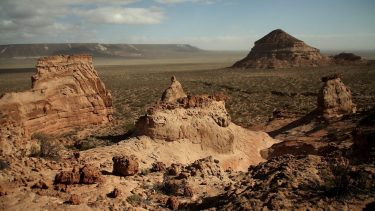 Mapa | En qué lugar de Río Negro fue hallado el pequeño dinosaurio que cambia la historia evolutiva