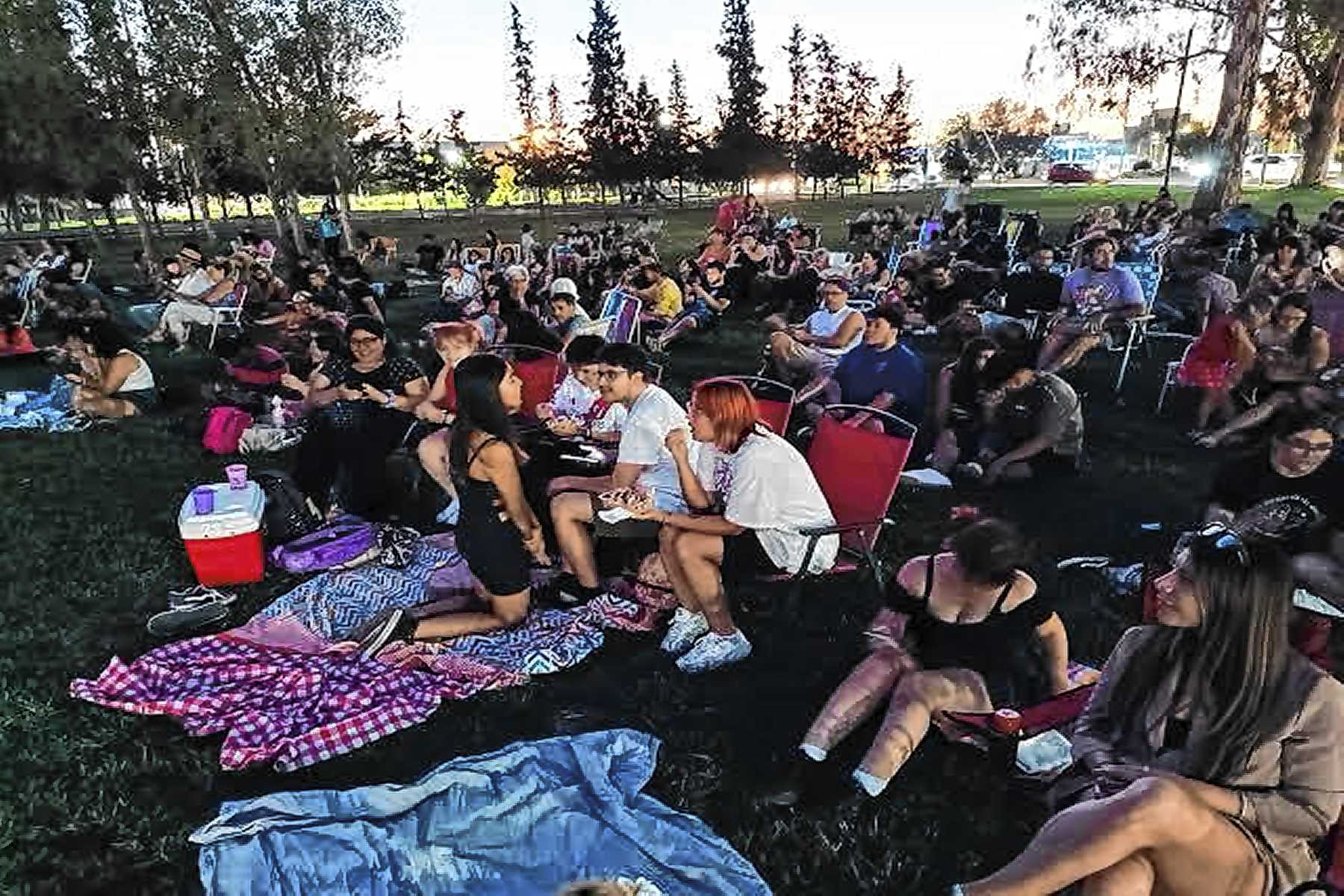 El cine en Cipolletti brilla bajo las estrellas, mirá la grilla de películas que se proyectarán