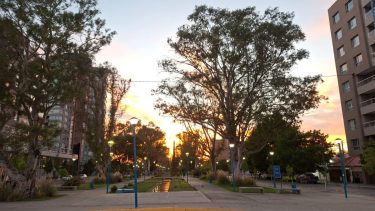 El Alto Valle empieza a sentir el otoño: refresca el clima y ¿vuelve el viento?, los detalles del pronóstico de este jueves