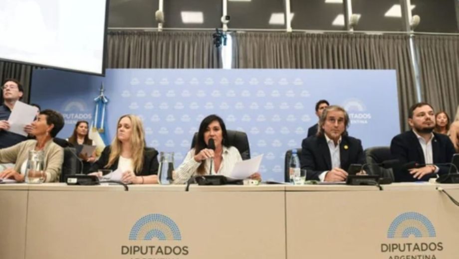 Dictamen a favor del proyecto que crea un nuevo régimen penal juvenil. Foto: Gentileza NA. 