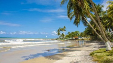 La “Pequeña Princesa” de Brasil: cacao, literatura y paisajes de cine, para los que buscan más que playas