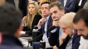 El PRO acompaña al Gobierno en la edad de  imputabilidad, pero busca modificar la reforma laboral