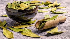 Feng Shui: por qué recomiendan poner hojas de laurel en la puerta de entrada del hogar