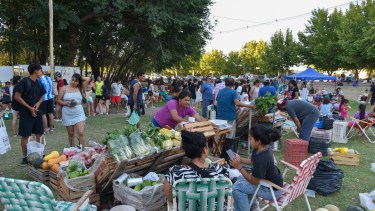 Domingos especiales, en Choele: el éxito de la feria que convoca a más de 100 productores y emprendedores