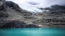 Imagen de Adiós a un gigante de hielo de la Patagonia: Glaciar Alvear perdió el 80% de superficie por el cambio climático