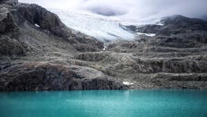Adiós a un gigante de hielo de la Patagonia: Glaciar Alvear perdió el 80% de superficie por el cambio climático