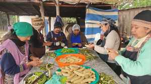 Por los bajos precios de las bananas, productores de Salta ahora las usan para elaborar un superalimento sin TACC