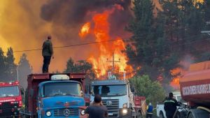 Polémica con las donaciones por los incendios en la Patagonia: un intendente denunció «falsos voluntarios»