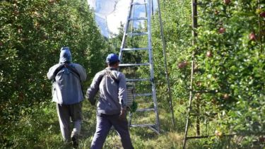 «Hasta cuatro colectivos por día»: alarma la llegada de trabajadores golondrina sin lugar en Neuquén