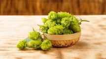 Imagen de Lúpulo: El “oro verde” de la gastronomía