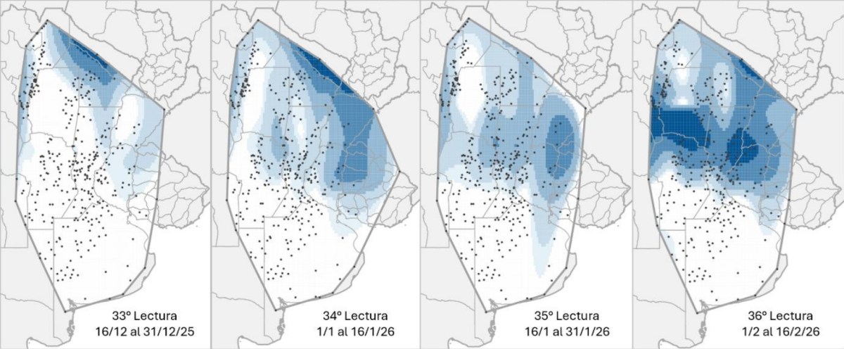Mapa de calor establecido en función de la evolución de la cantidad de adultos de la chicharrita del maíz (Dalbulus maidis) capturados con trampas cromáticas adhesivas en las localidades relevadas desde el décimo segundo al trigésimo sexto informe de la Red Nacional de Monitoreo de la chicharrita del maíz (Dalbulus maidis).
