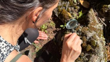 Paseos botánicos guiados, en San Martín de los Andes: ideal para descubrir aún más la naturaleza