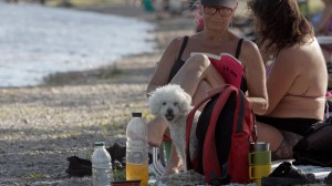 Un millón y medio de personas pasaron el verano en el río Limay de Neuquén