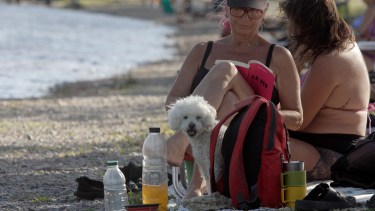 Un millón y medio de personas pasaron el verano en el río Limay de Neuquén