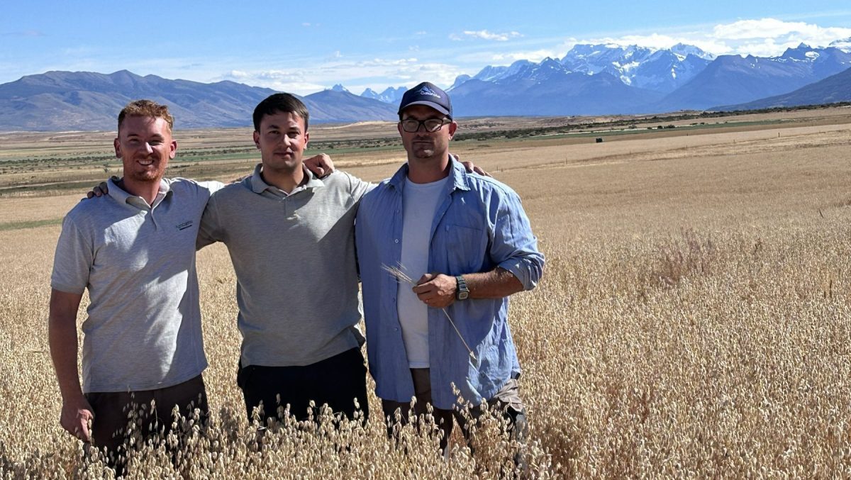 Nicolás Zuber, Tomás Ciurlanti y Ricardo Coggiola son los socios fundadores de AgroCalafate, empresa que brindó asistencia técnica y proveyó la cosechadora para que se concrete la primera cosecha de trigo y avena en la historia de Santa Cruz, provincia de la Patagonia argentina.