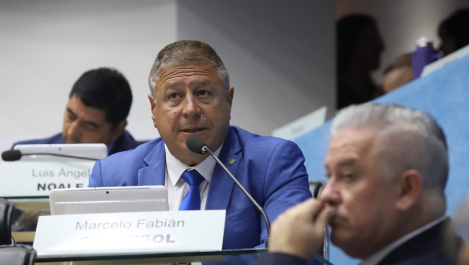 Marcelo Szczygol fue el encargado de presentar el proyecto en el recinto. Foto: Marcelo Ochoa.