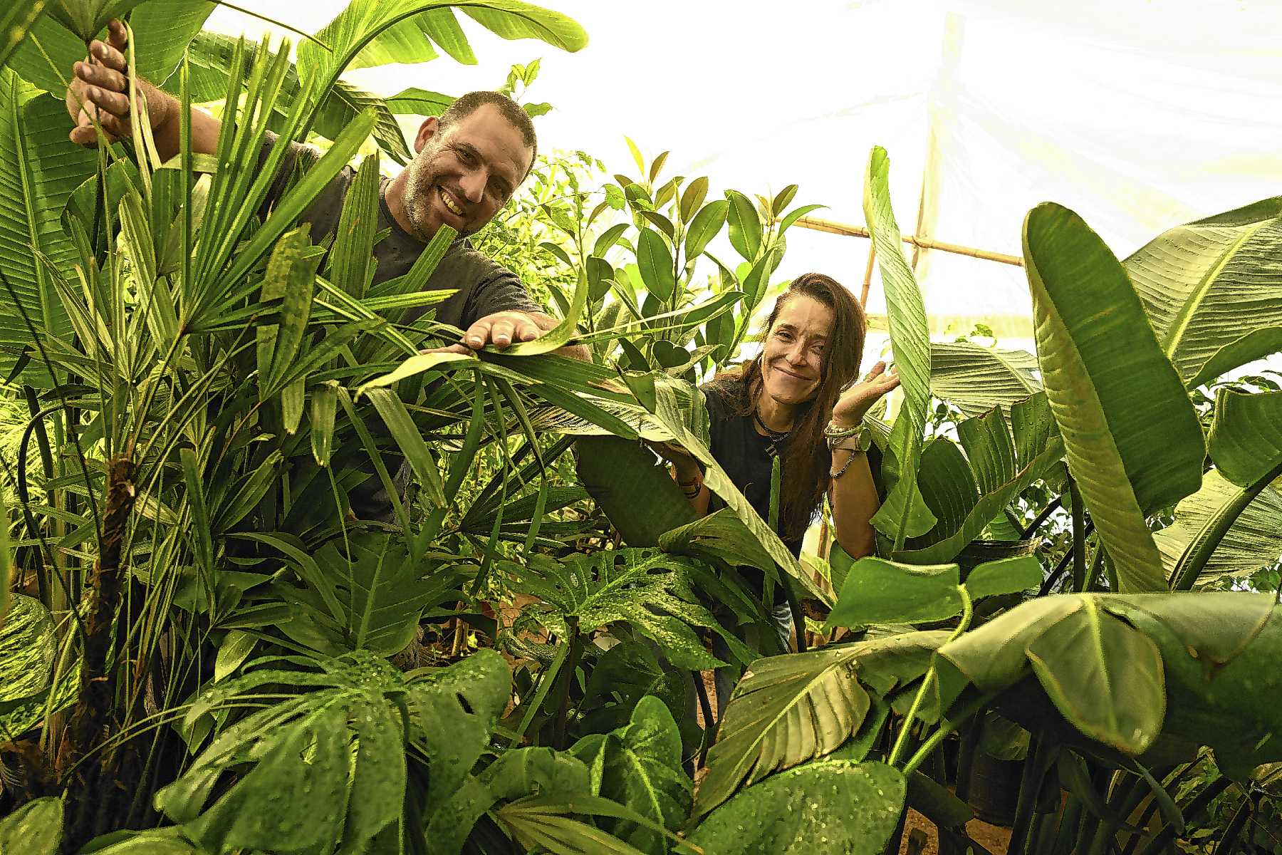 Empezaron con 20 plantas en Roca y hoy venden miles en la Patagonia: el boom de un vivero y de una influencer de los jardines