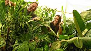 Empezaron con 20 plantas en Roca y hoy venden miles en la Patagonia: el boom de un vivero y de una influencer de los jardines